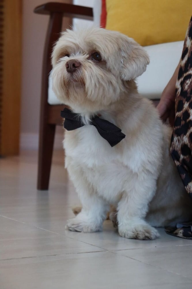 Фото Paradiso Corporate - Cabo Frio