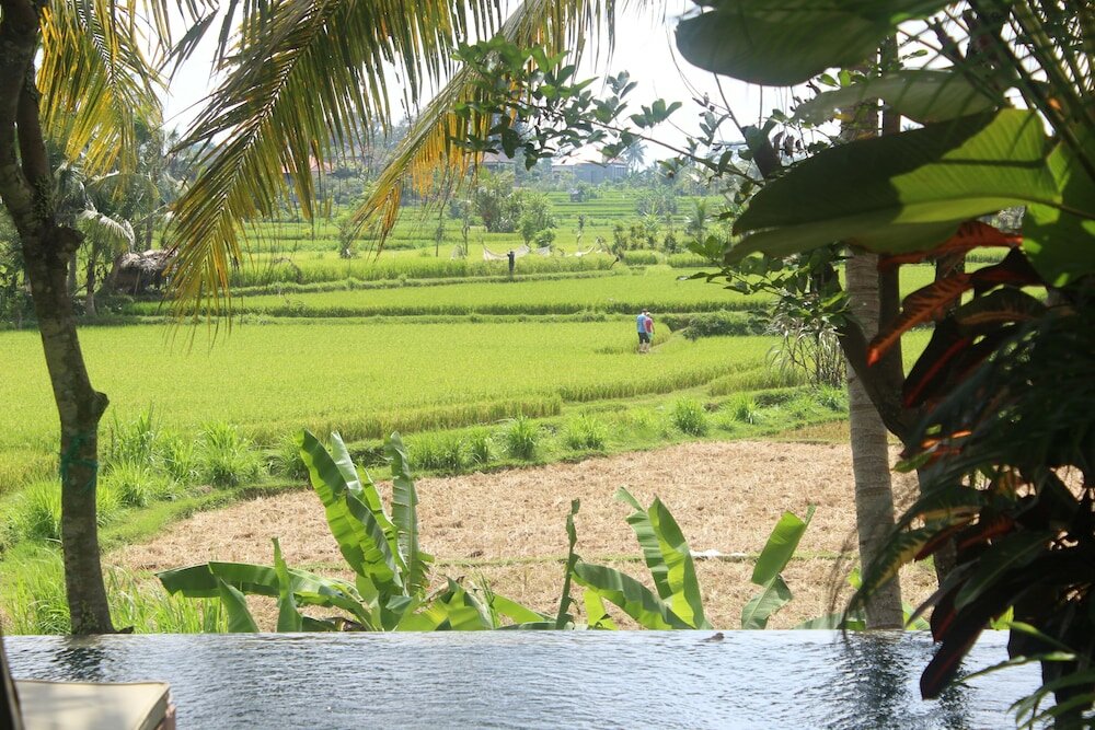 Фото Ubud Padi Villas