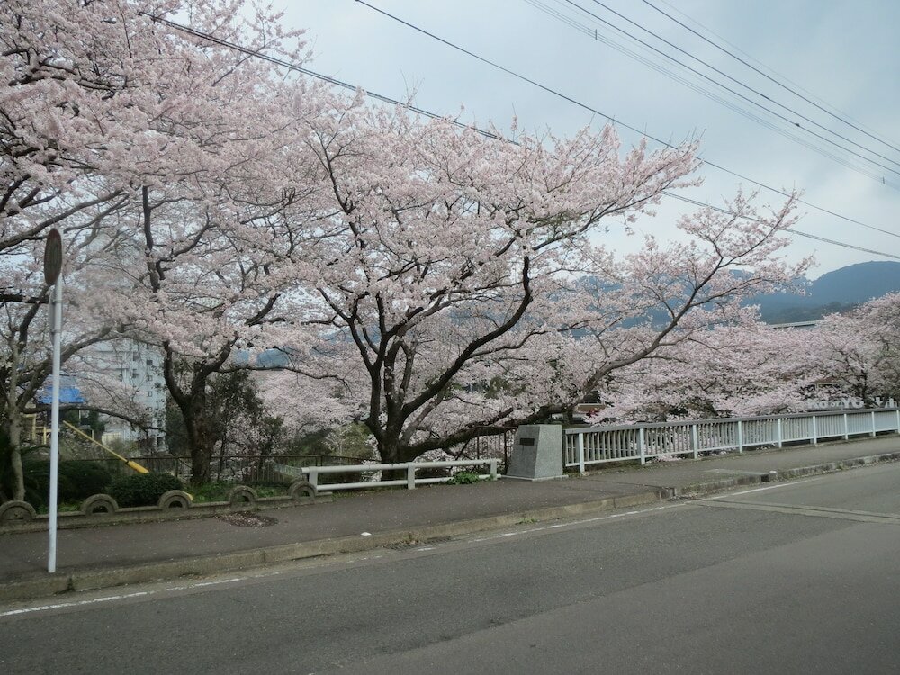 Фото Hana No Shizuku