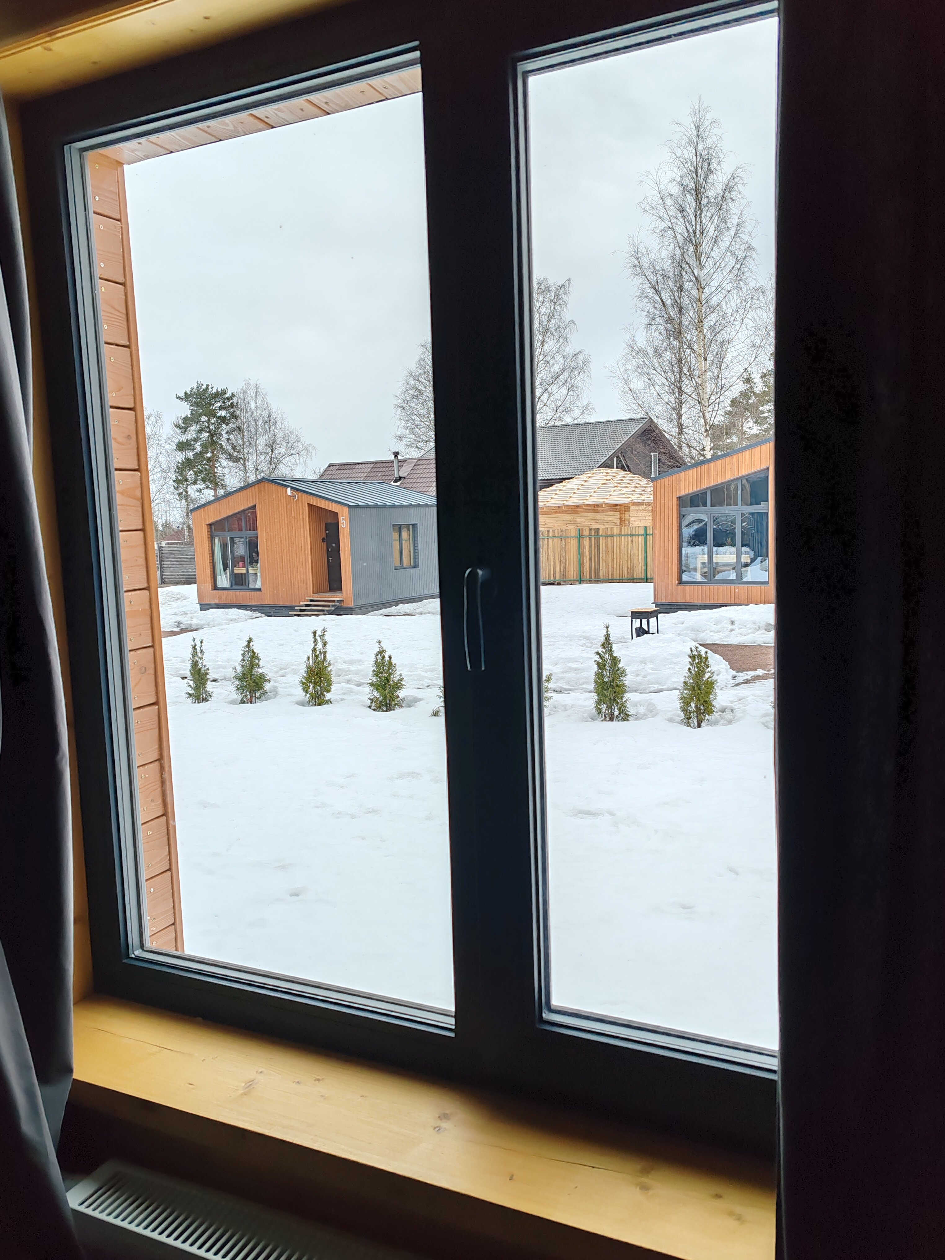 Фото Мята. Club