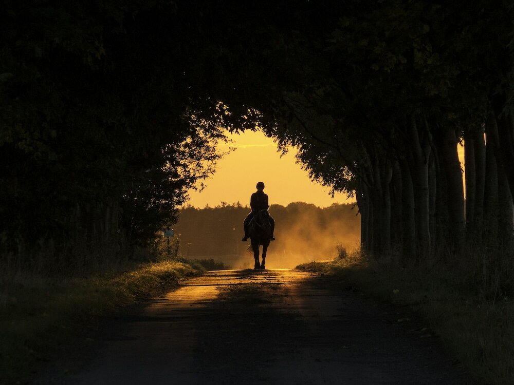 Фото Manor Farm B & B