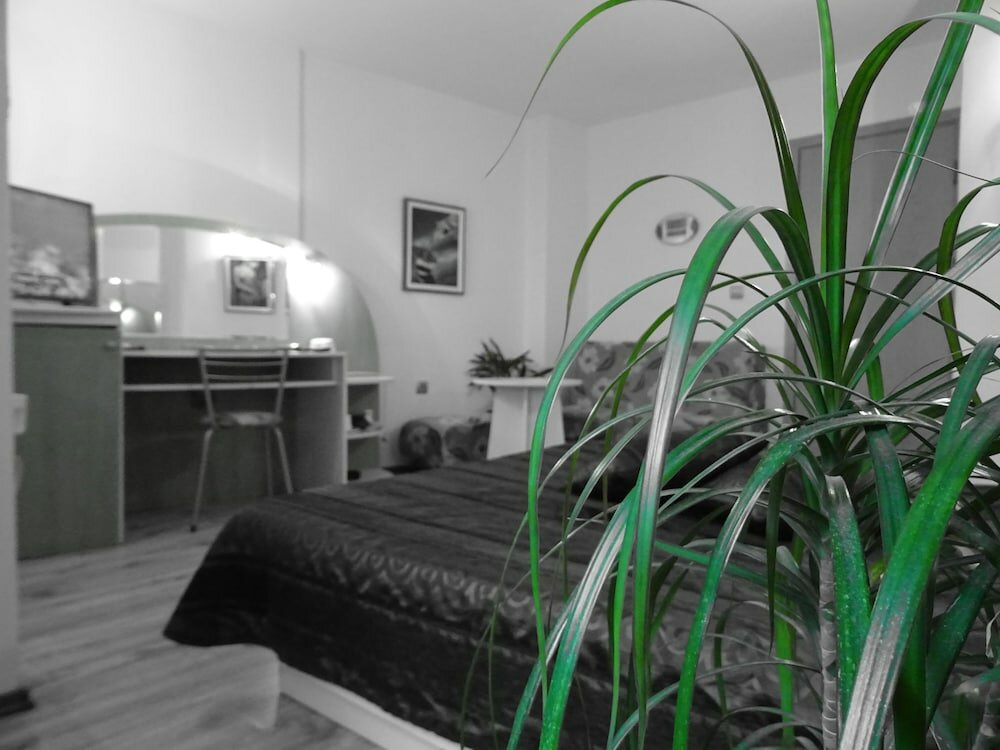 Фото Hotel Color Varna