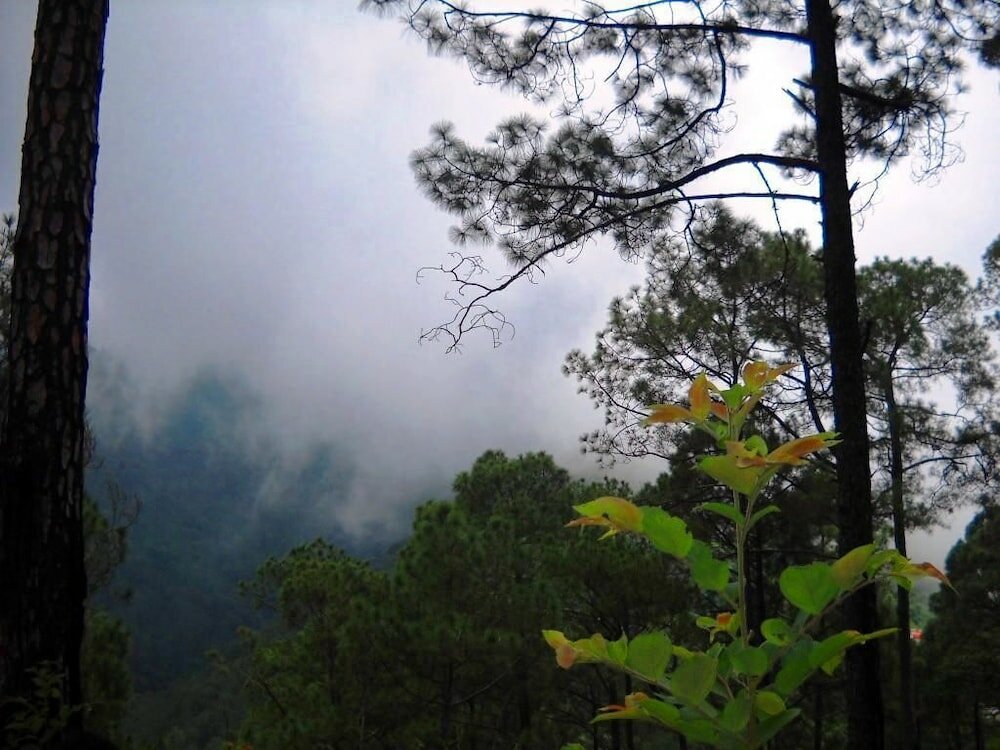 Фото Country Inn Sattal