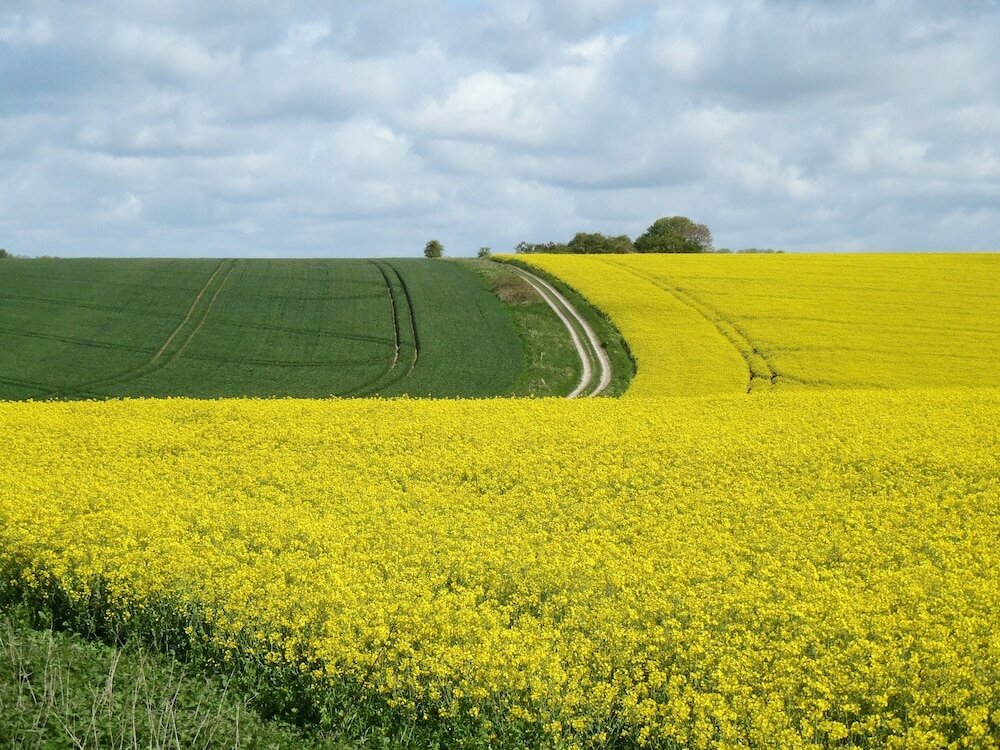 Фото Manor Farm B & B