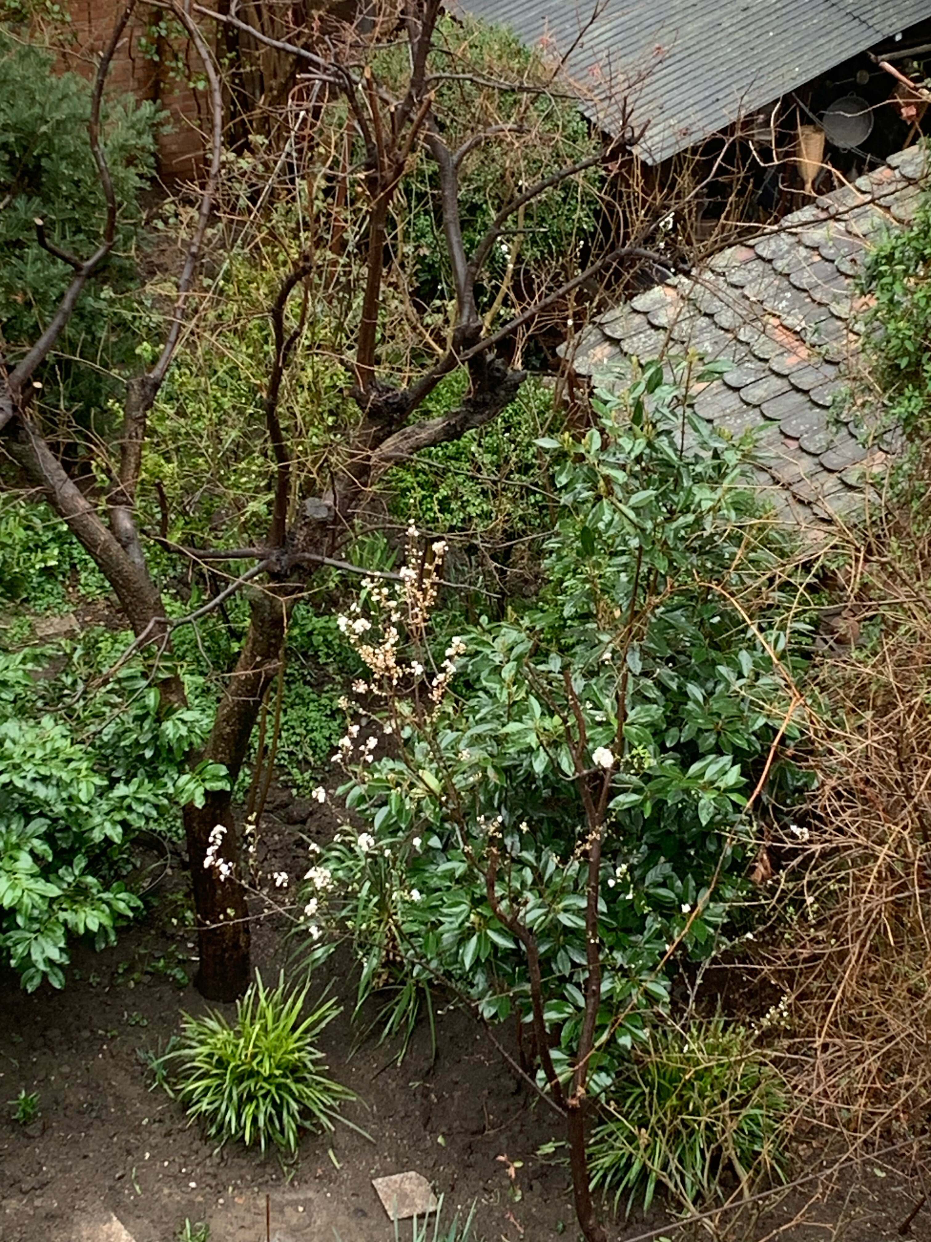 Фото British House