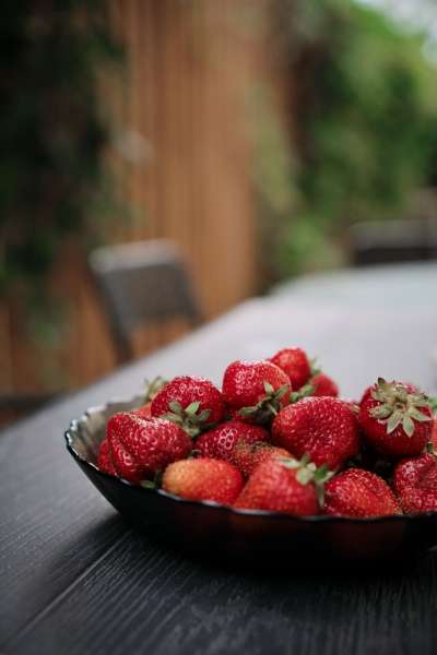 Фото Солнечная орхидея