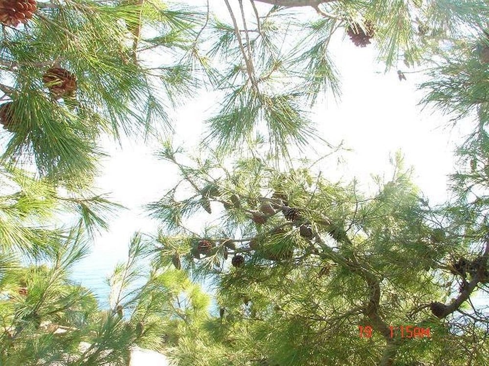 Фото Jag - 20m From the sea - A2 Istocni