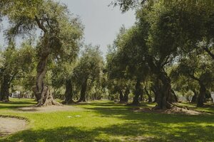 Гостиница Arte Hotel Lima