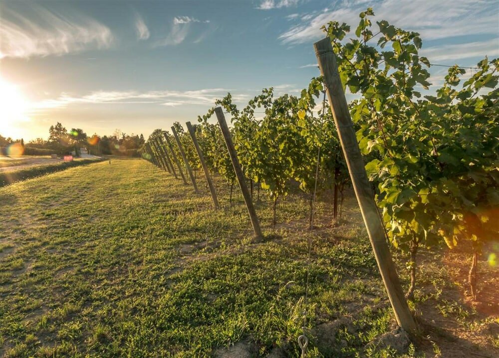 Фото Cascina Lugana