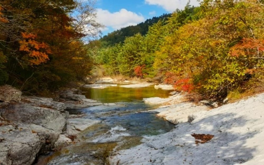 Фото Jeongseon Daon Pension