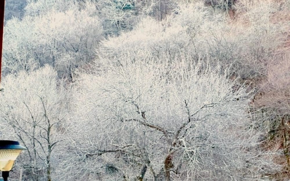 Фото Jeongseon Daon Pension