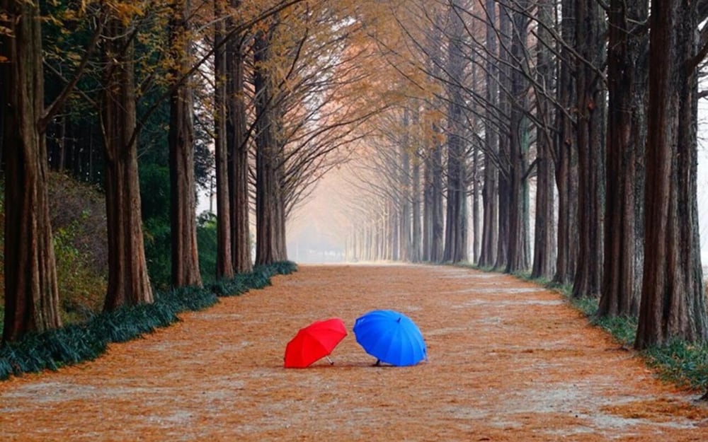 Фото Damyang Dambit Pension