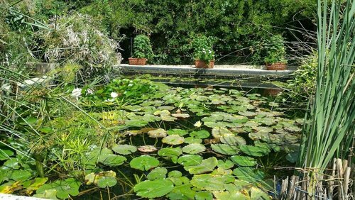 Гостиница Le Stanze di Villa Labruto