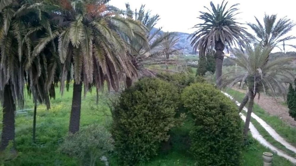 Фото L'Antico Casale