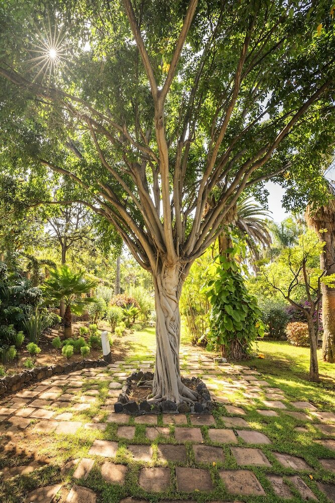 Фото Precise Resort Tenerife