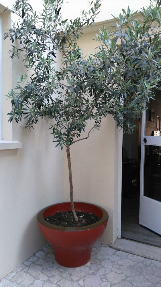 Фото Hotel Esperanto