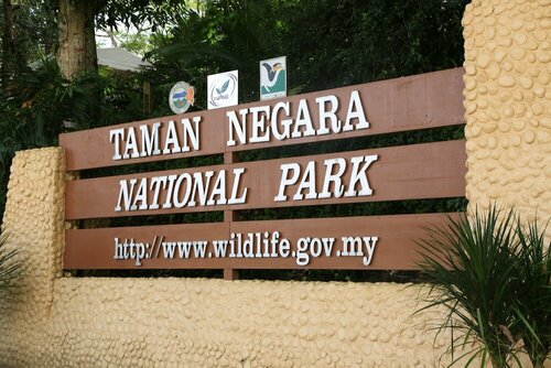 Гостиница Mutiara Taman Negara