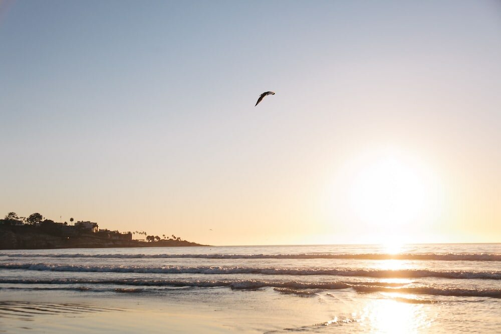 Фото La Jolla Beach and Tennis Club
