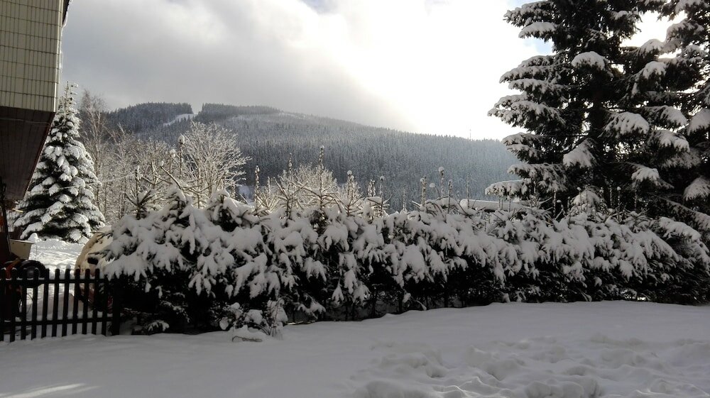 Фото Pension Borůvka
