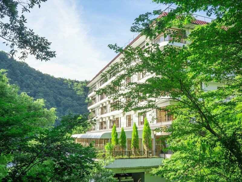 Гостиница Hakone Yumoto Hotel