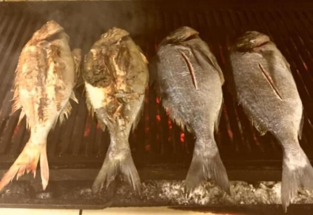 Фото Hotel Lefkadi