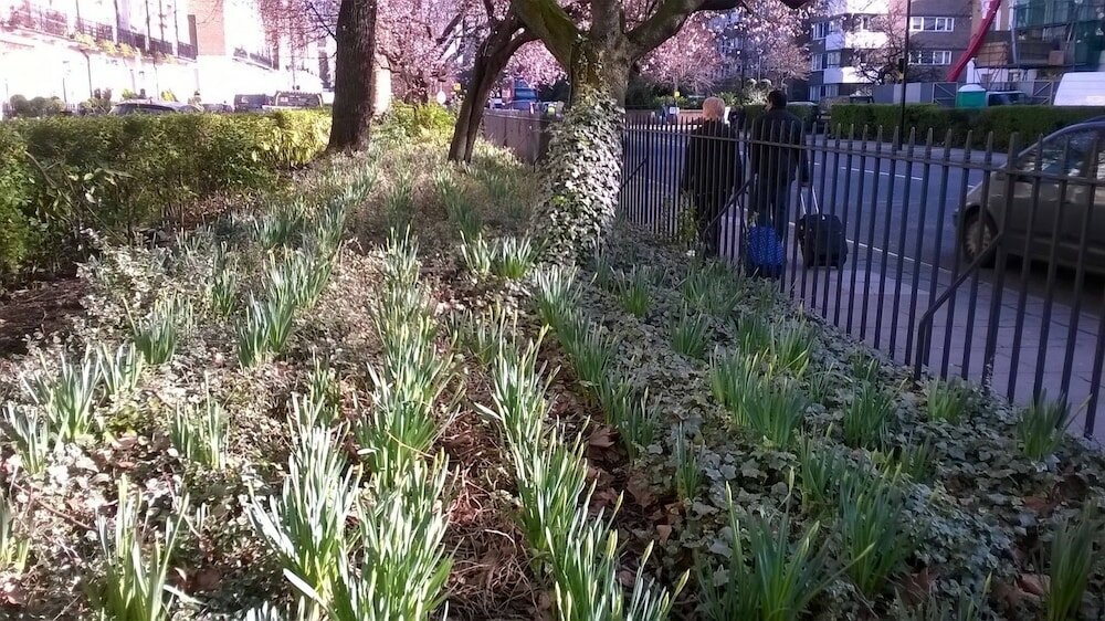 Фото Mandalay Picton House Hotel