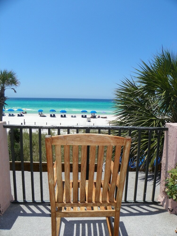Фото Osprey on the Gulf