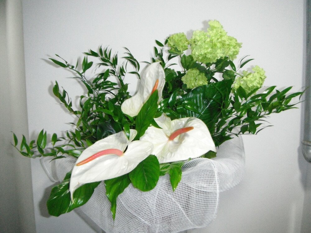 Фото Albergo Renato