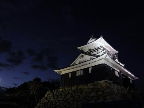 Гостиница Hamamatsu Station Hotel в Хамамацу