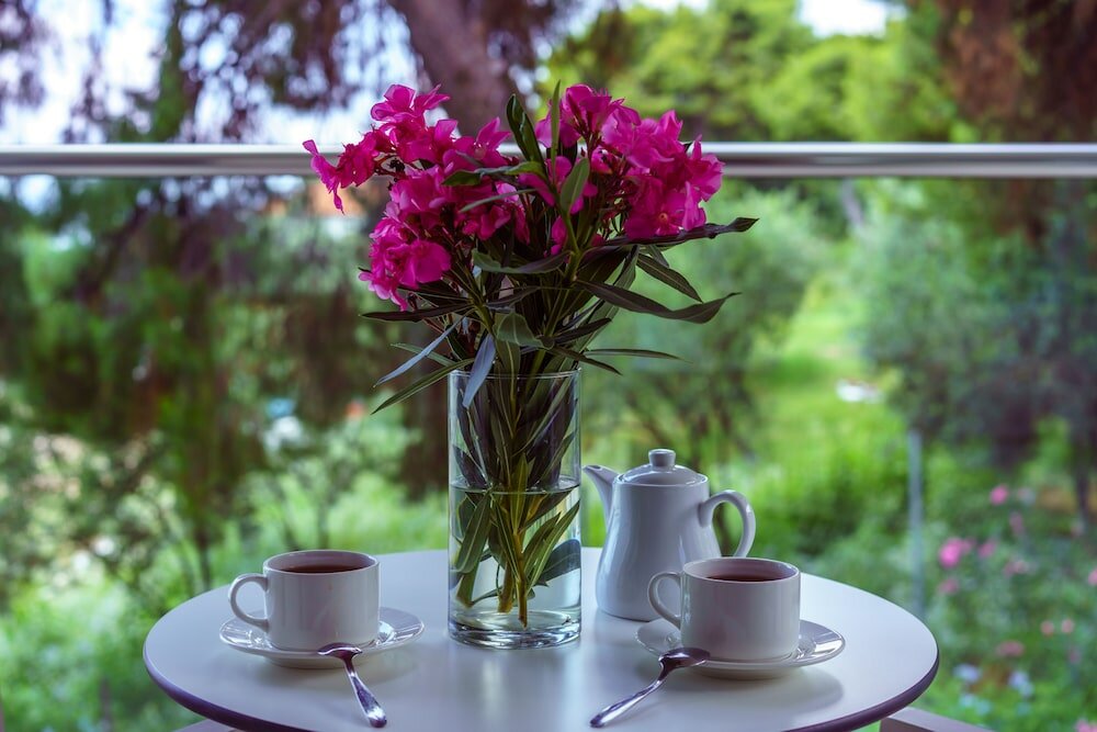 Фото Elinotel Sermilia Resort - All inclusive