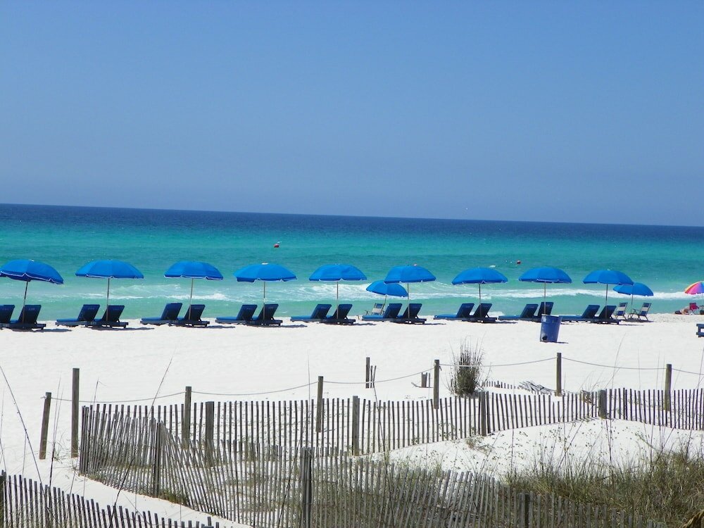 Фото Osprey on the Gulf
