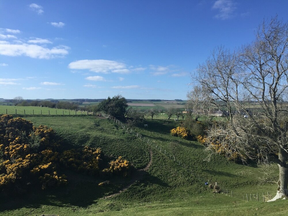 Фото Beehive @ Westcote Glamping- Campsite