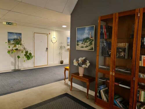 Гостиница Furunäset Hotell och Konferens в Питео