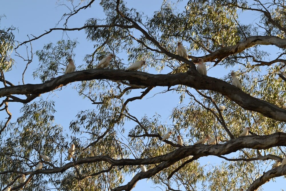 Фото Seymour Motel