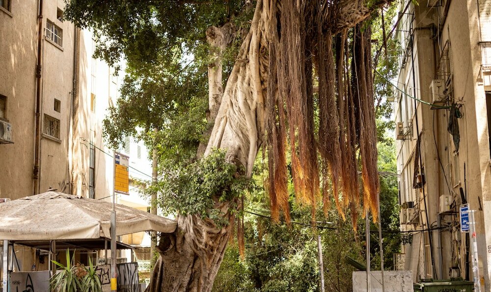 Фото Cozy Charm Stu Haifa Ctr by Sea N' Rent