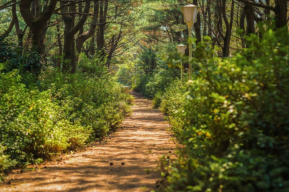 Фото We Hotel Jeju