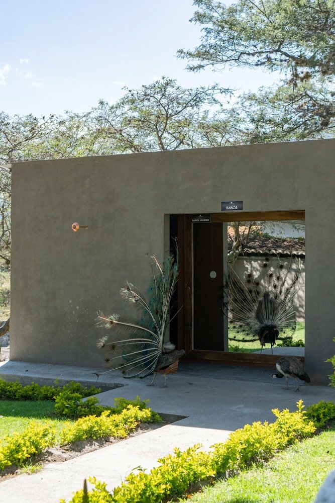 Фото Tunas & Cabras Hotel