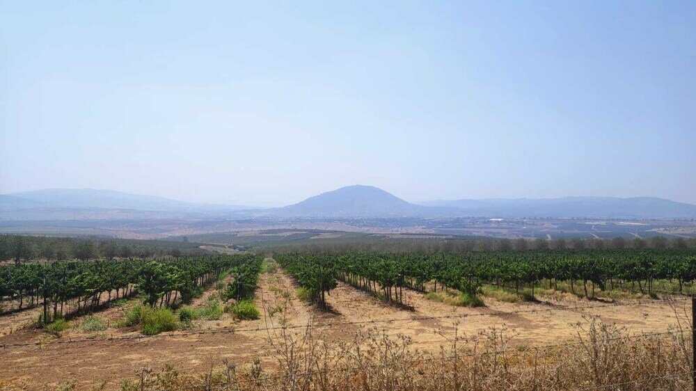 Фото Mount Tabor Home by Sea N' Rent