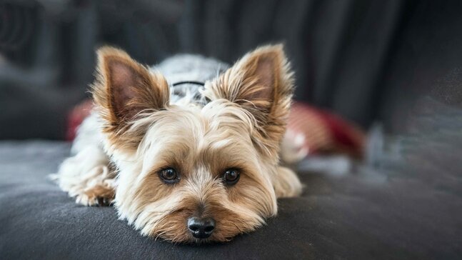 Фото Private Apartments Водный стадион