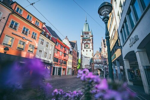 Внешний вид отеля Dorint Thermenhotel Freiburg в Фрайбурге, фото 3