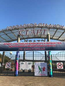 Новик