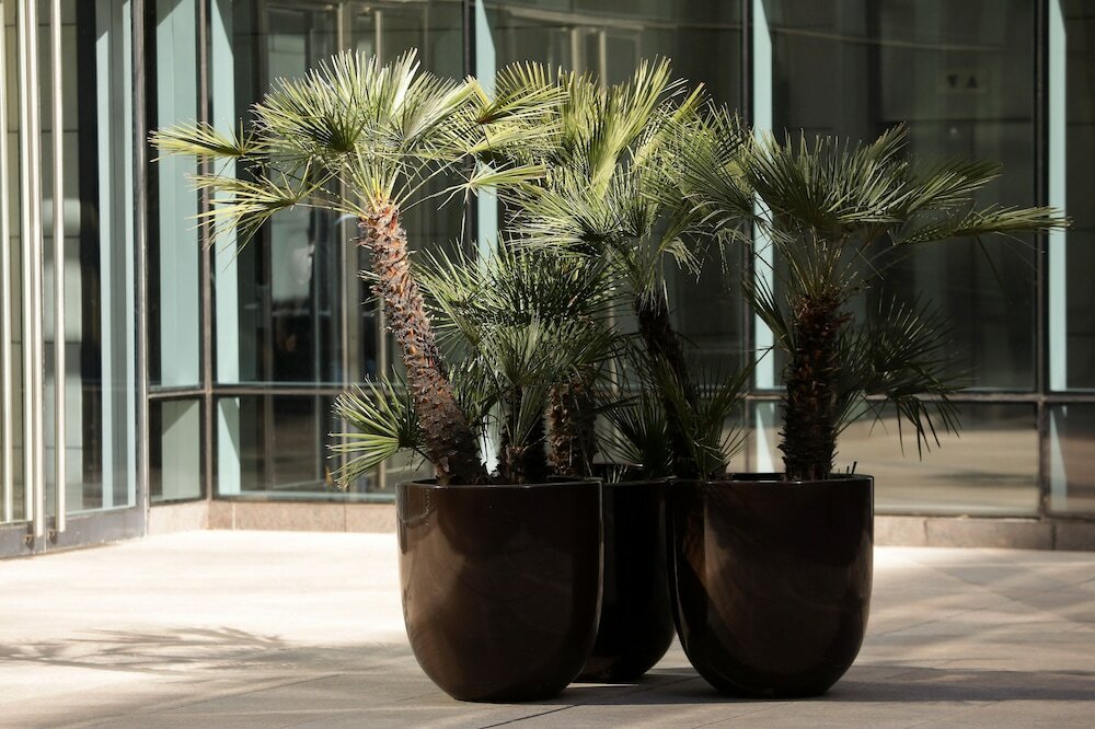 Фото Park Hyatt Mendoza