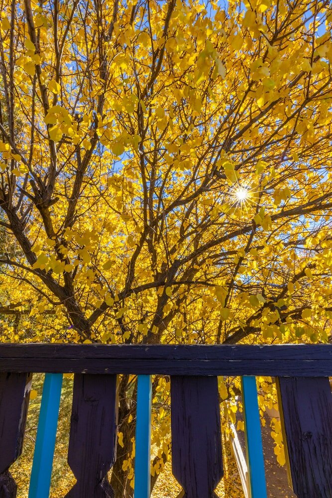 Фото Sagebrush Inn & Suites