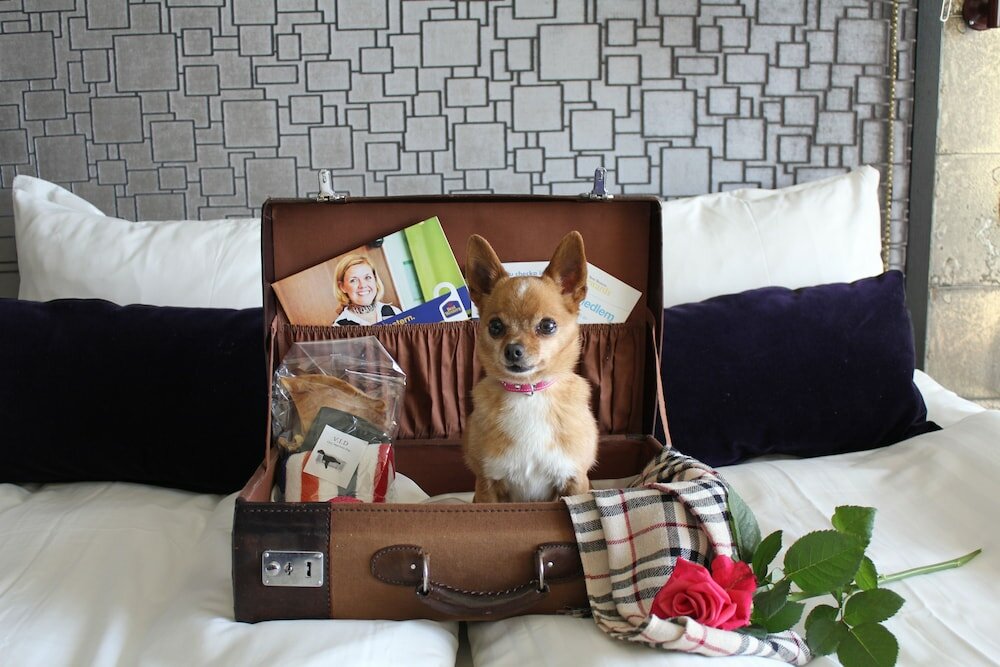 Фото Best Western Plus John Bauer Hotel