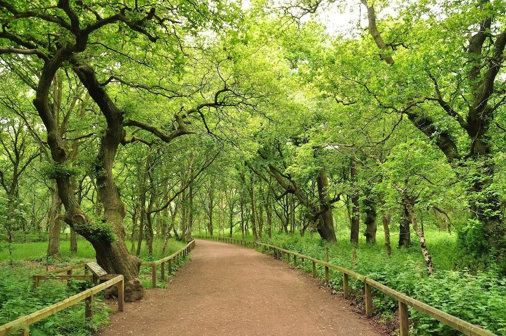 Фото DoubleTree by Hilton Hotel - Nottingham Gateway