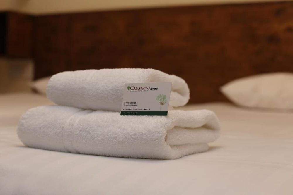 Фото Casuarina Tree