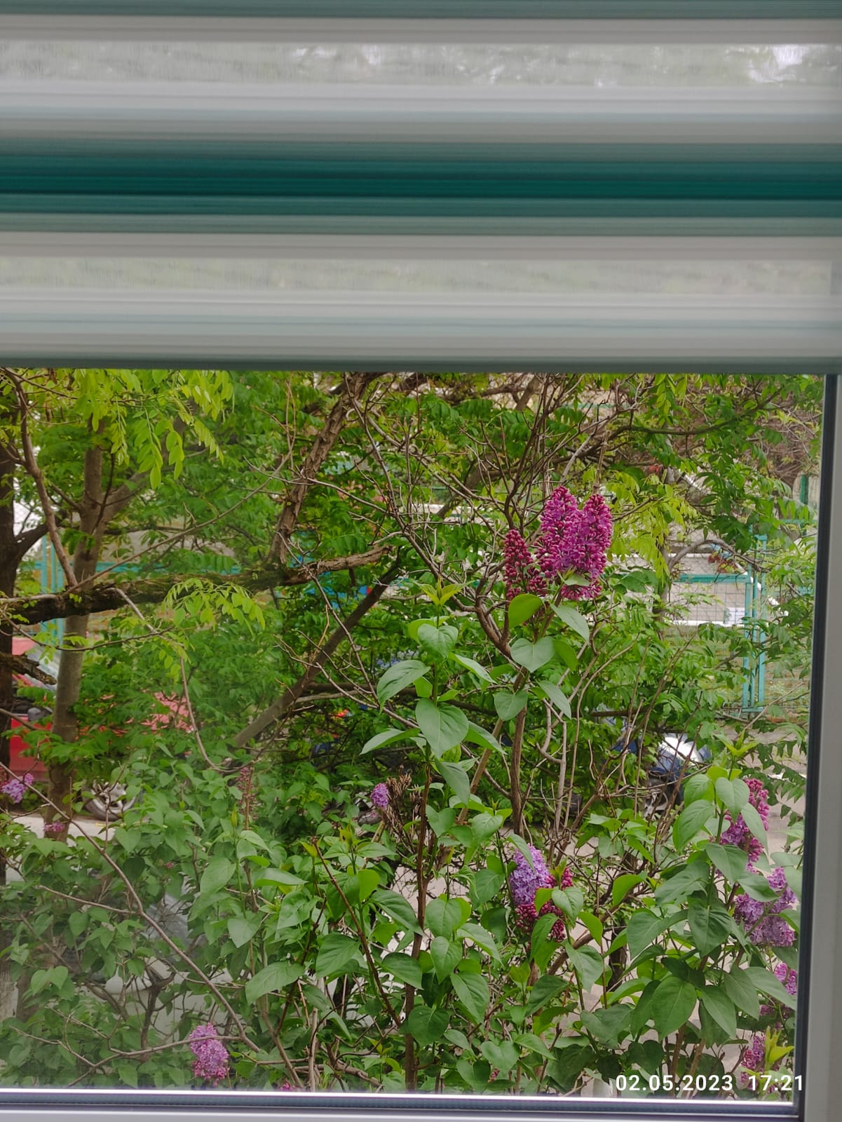 Фото Квартира рядом с морем