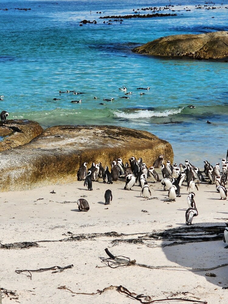Фото Boulders Blue Bed and Breakfast