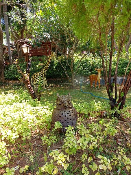 Фото Kata Garden Resort