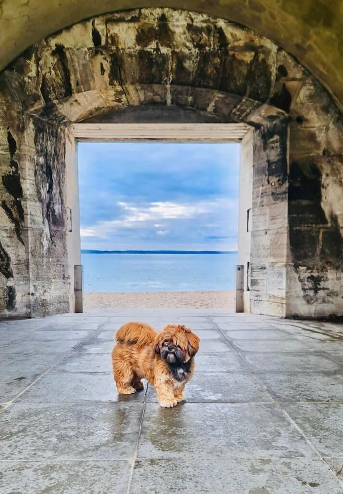 Фото Seafront 3 Bedroom Apartment